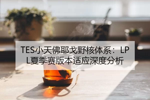 xiao-tian-fu-ye-ge-ye-he-ti-xi-xia-ji-sai-ban-ben-shi-ying-shen-du-fen-xi-3-425.jpg