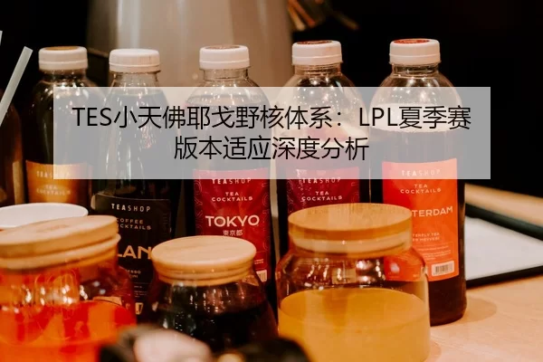 TES小天佛耶戈野核体系：LPL夏季赛版本适应深度分析