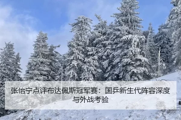 张怡宁点评布达佩斯冠军赛：国乒新生代阵容深度与外战考验