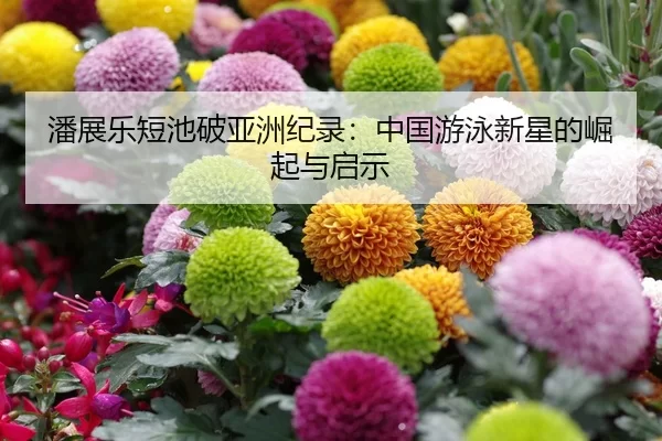 潘展乐短池破亚洲纪录：中国游泳新星的崛起与启示